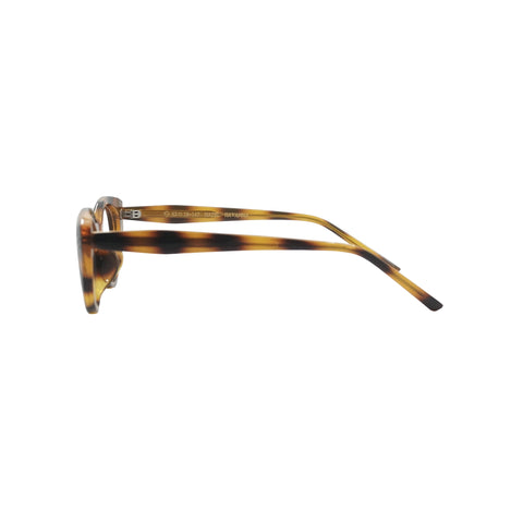 ProSafe Hazel | Eyeglasses